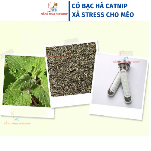 Catnip, cỏ bạc hà cho mèo giảm tress, ống 45ml