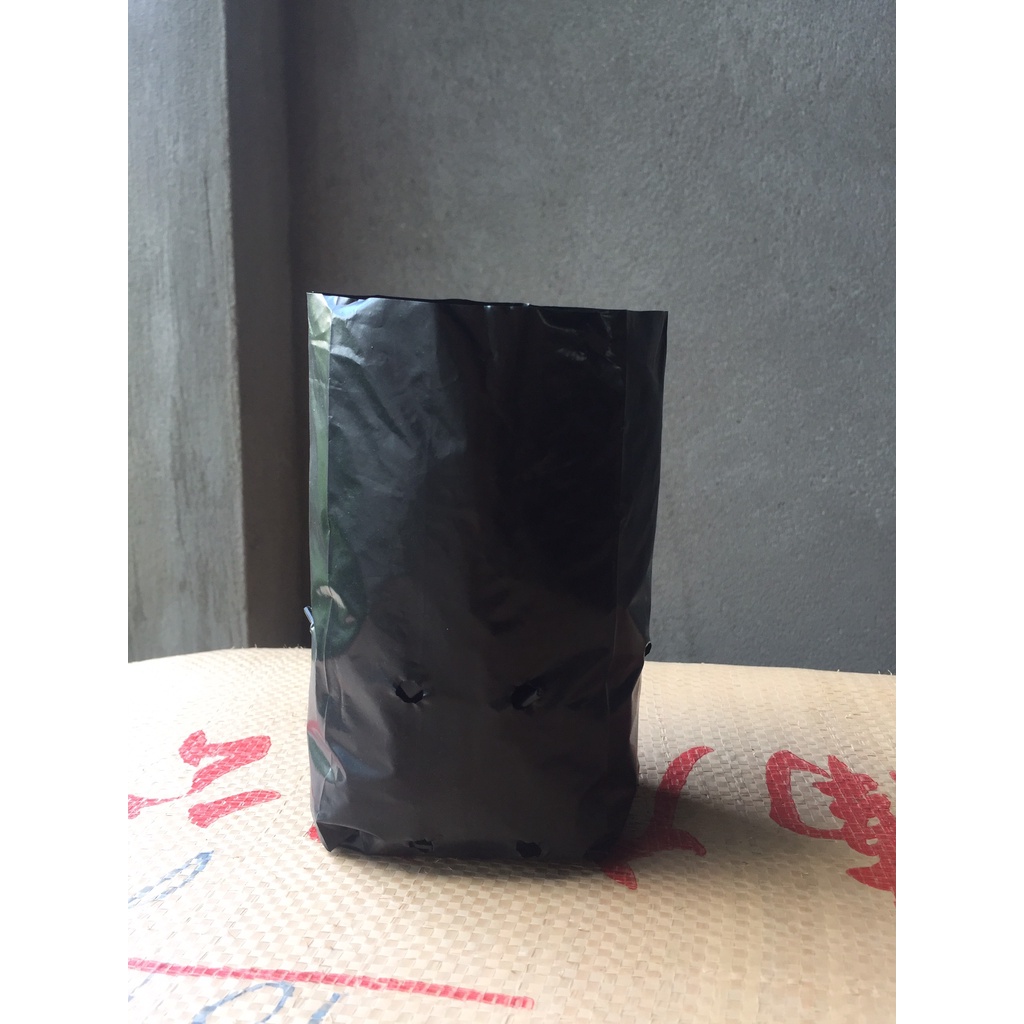 1KG TÚI ƯƠM CÂY MÃ 14*19 ( KÍCH RỄ, MẦM CÂY XANH LÁ, DỊCH TRUYỀN CHO CÂY, BẠT CỎ...)