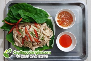 10 lá sung tươi