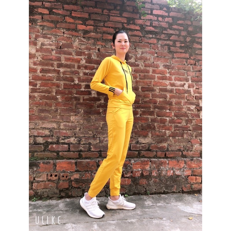 💥Bộ nỉ thể thao nữ có mũ túi bụng hàng xuất dư đẹp💥ảnh thật 100% | BigBuy360 - bigbuy360.vn