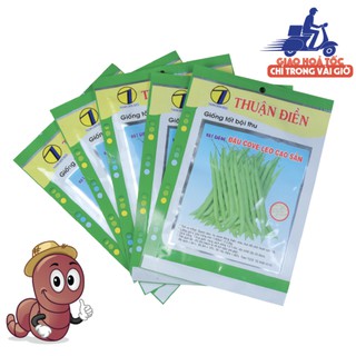 [HẠT GIỐNG ĐẬU QUE LEO HẠT TRẮNG] chất lượng hạt giống nảy mầm cao