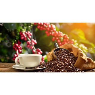 Cà Phê Nguyên Chất Rang Mộc Vị Sành ( 70% Robusta-30% Arabica)