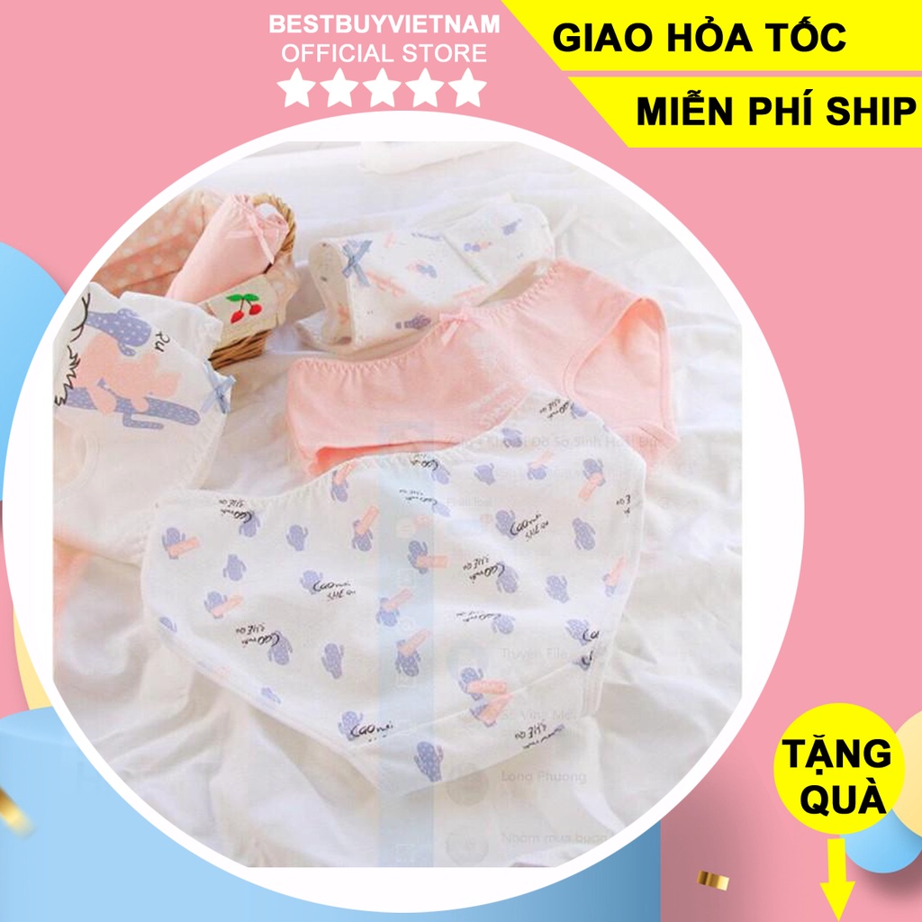 Quần lót kháng khuẩn họa tiết xương rồng