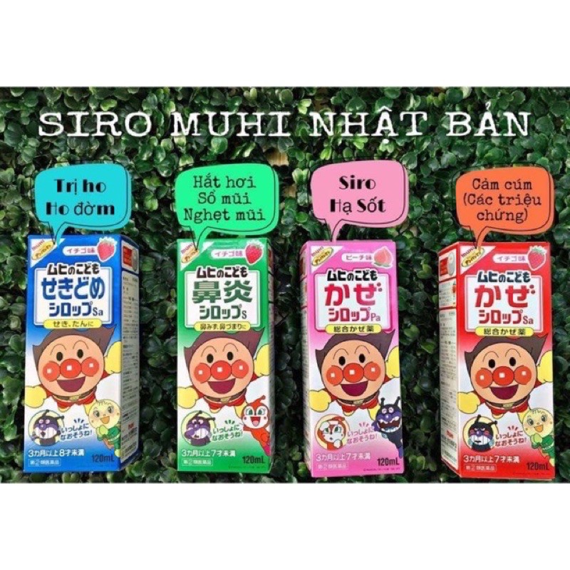 Siro Muhi Nhật Bản