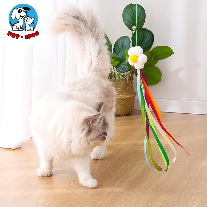 Đồ Chơi Dây Treo, Gắn Cửa Co Giãn Nhiều Mẫu Cute Cho Thú Cưng