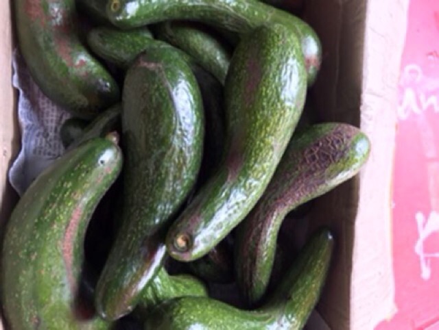 Bơ 034 size 4-5 trái/kg | BigBuy360 - bigbuy360.vn