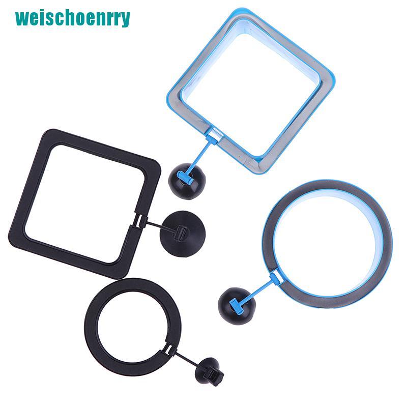 Rér●1 Phao Nổi Hình Vuông / Tròn Cho Bể Cá