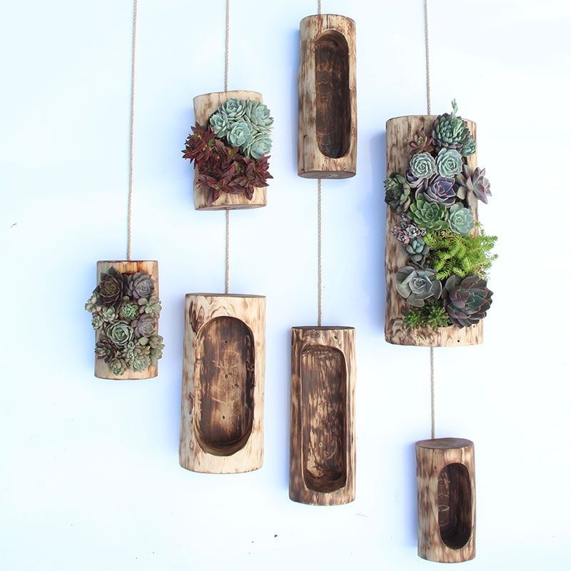 Chậu Khúc Gỗ Tự Nhiên Loại Ngang Dùng Để Trồng Cây, Decor Trang Trí Vintage - Trồng Sen Đá Tiểu Cảnh - Dài 30-40-50 cm