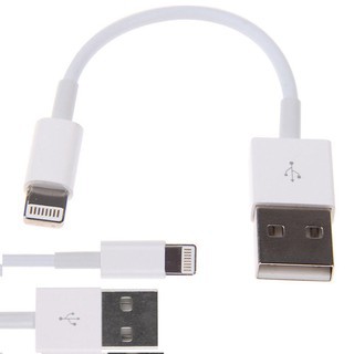 CÁP SẠC IPHONE NGẮN 20CM