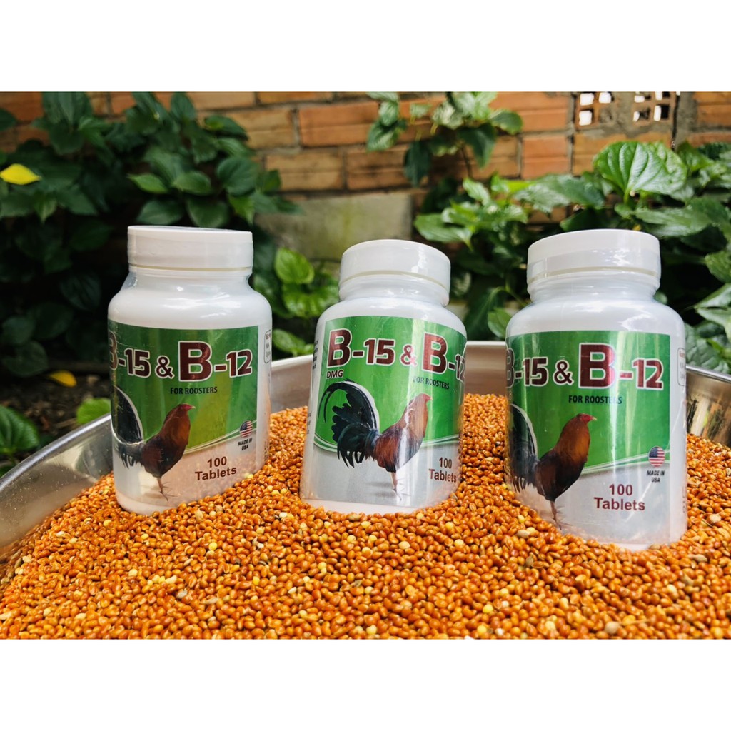 B15 & B12 thuốc nuôi gà đá , dinh dưỡng chiến kê