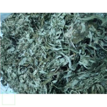 500gr ngải cứu khô thơm ngon chuẩn xịn