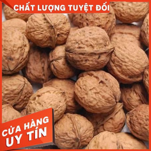 🎉 🎉 [SIÊU SALE] ÓC CHÓ NẾP HÀ GIANG NGUYÊN QUẢ 500GR - HÀNG TUYỂN LOẠI 1🎉 🎉