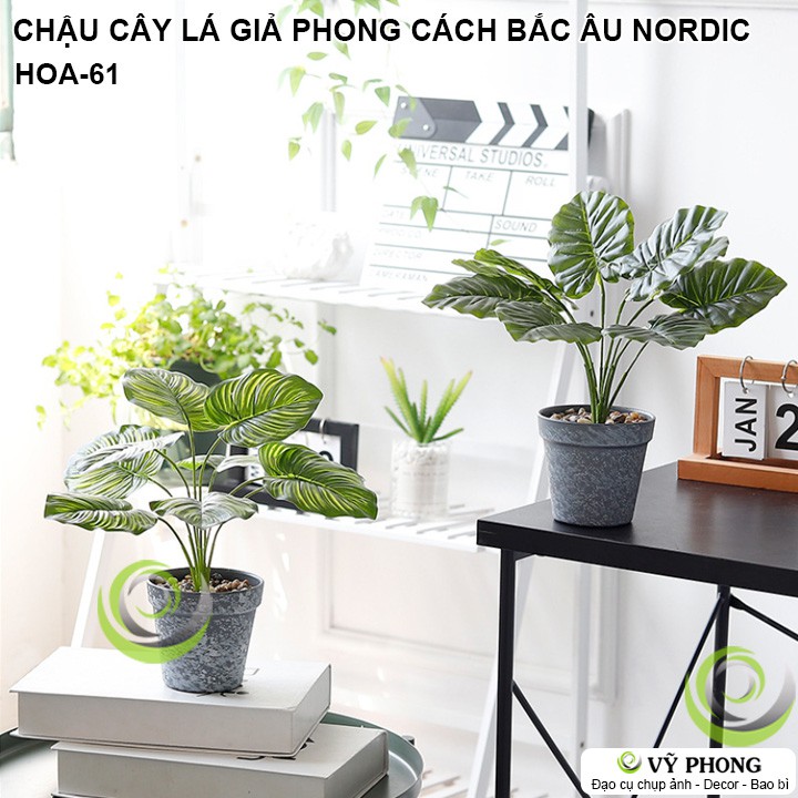 CHẬU CÂY LÁ GIẢ NORDIC TRANG TRÍ NHÀ CỦA ĐẠO CỤ CHỤP ẢNH SẢN PHẨM INS HOA-61