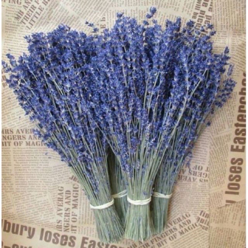 Bó hoa lavender nhập pháp