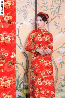Áo Dài in 3d