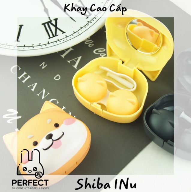 Khay Cao Cấp Shiba INu - Khay đựng kính Áp Tròng