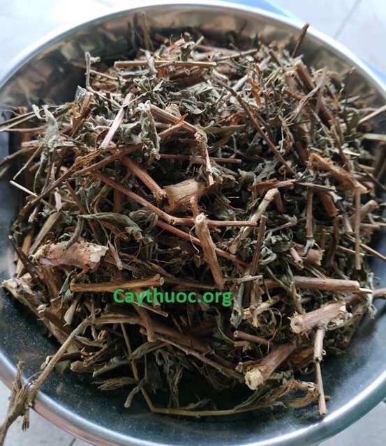 Cây Rau mương 1 kg chuẩn khô