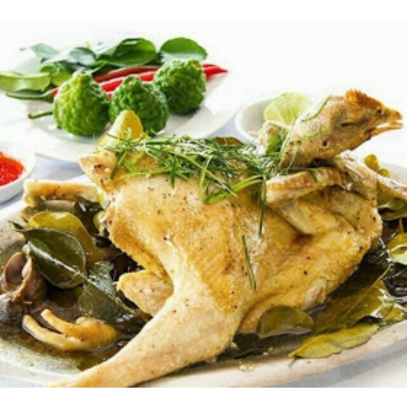 Cây giống chanh chúc, chanh thái, chanh số 8