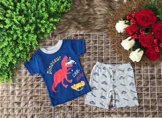 Combo đồ bộ bé gái