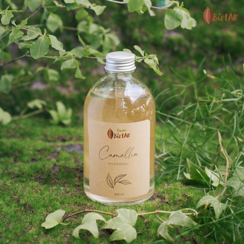 Hydrosol Camellia – Nước cất trà xanh, trà hoa đỏ Bio LAK 100ml và 350ml