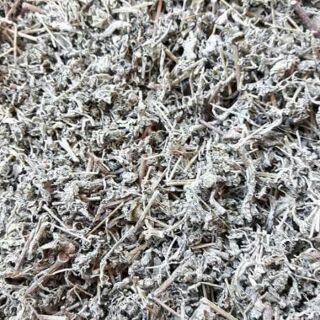 Chè dây tủa chùa