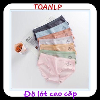 Quần cotton cao cấp xuất Nhật Cạp sọc ms 005 ( có size )