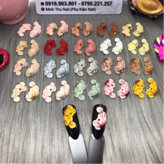 🌿 HOA CÚC DÀI 🌿( 11.000đ/1 bông)