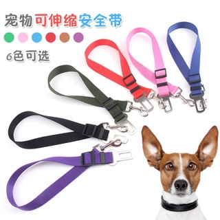 Dây thắt an toàn trên xe hơi cho thú cưng