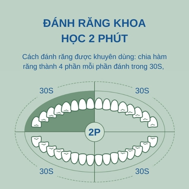 Bàn chải điện đánh răng sonic 6 chế độ chải kèm 5 đầu chải làm sạch trắng răng tự nhiên sạc điện chống nước xbh168