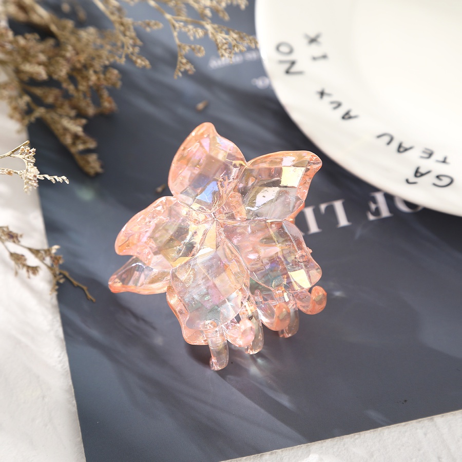Kẹp Tóc Càng Cua Trong Suốt Bằng Nhựa Acrylic Hình Hoa Dễ Thương Phong Cách Hàn Quốc Cho Nữ