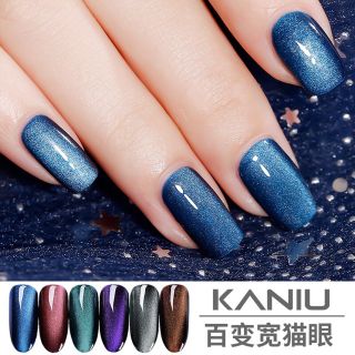 Set sơn kaniu mắt mèo