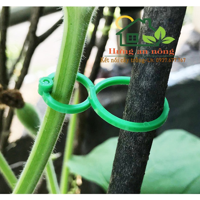 Sét 50 Kẹp số 8 chuyên dùng cố định cành, cây thân cứng mềm, cố định dây leo, cố định dây điện...