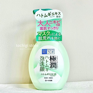 Sữa rửa mặt tạo bọt Hada Labo