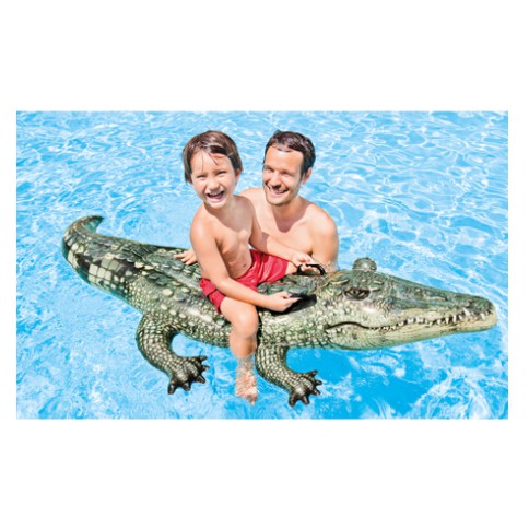 Phao bơi cá sấu loại to