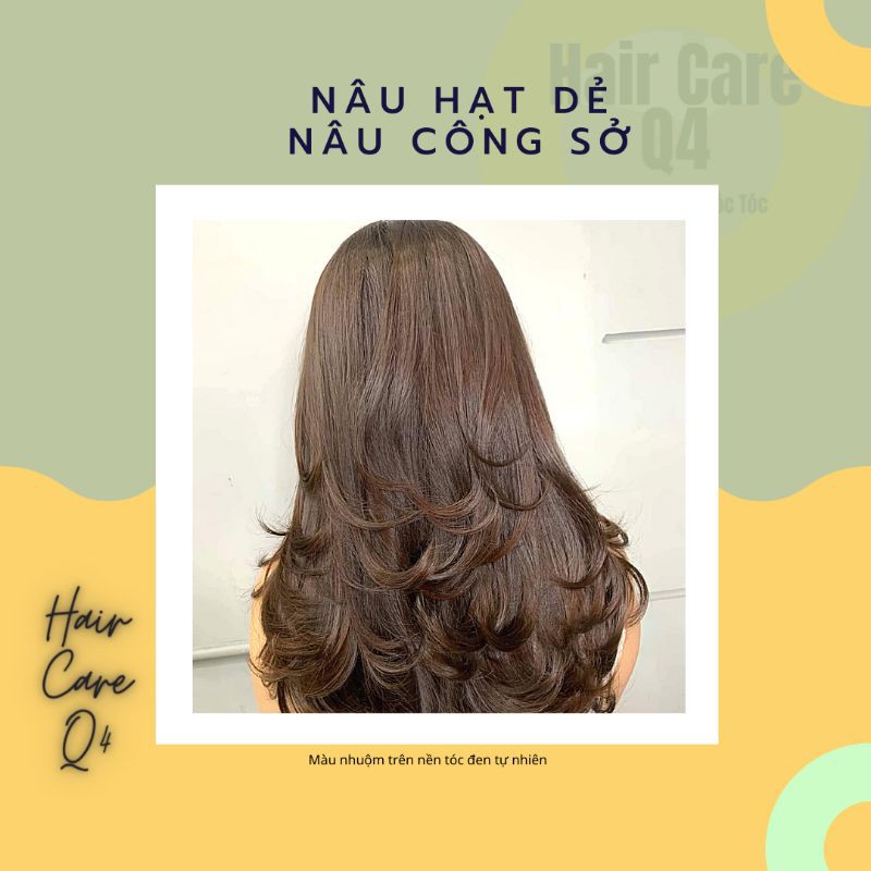 Thuốc nhuộm tóc thảo dược màu nâu hạt dẻ, nâu công sở - Hair Care Q4