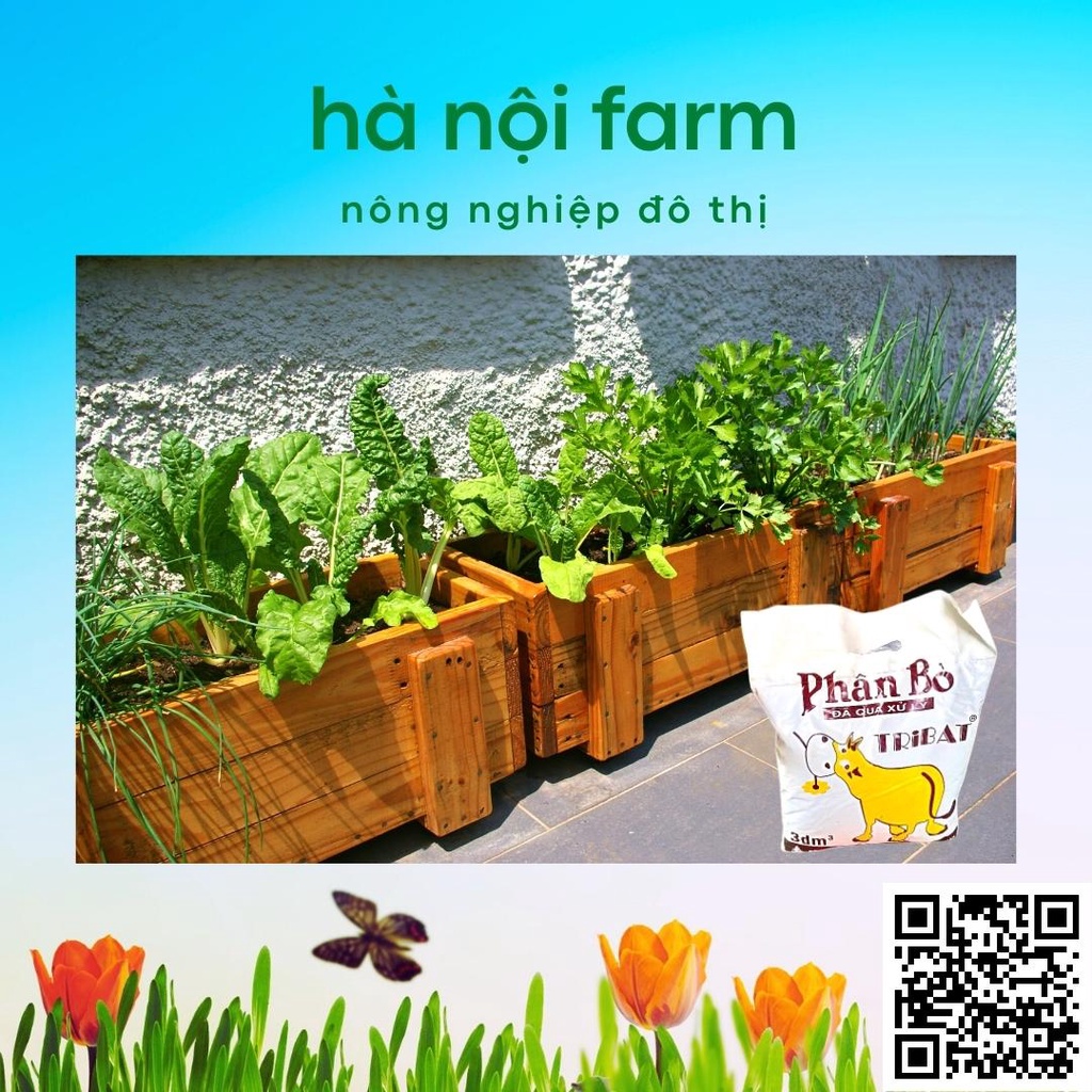 Phân bò khô, phân bò tự nhiên đã qua xử lý dùng cho mọi loại cây trồng gói 800g