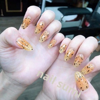 Top trứng cút vinimay