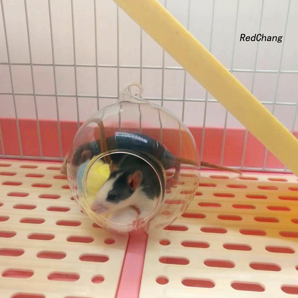 Lồng treo thủy tinh dễ thương cho chuột hamster