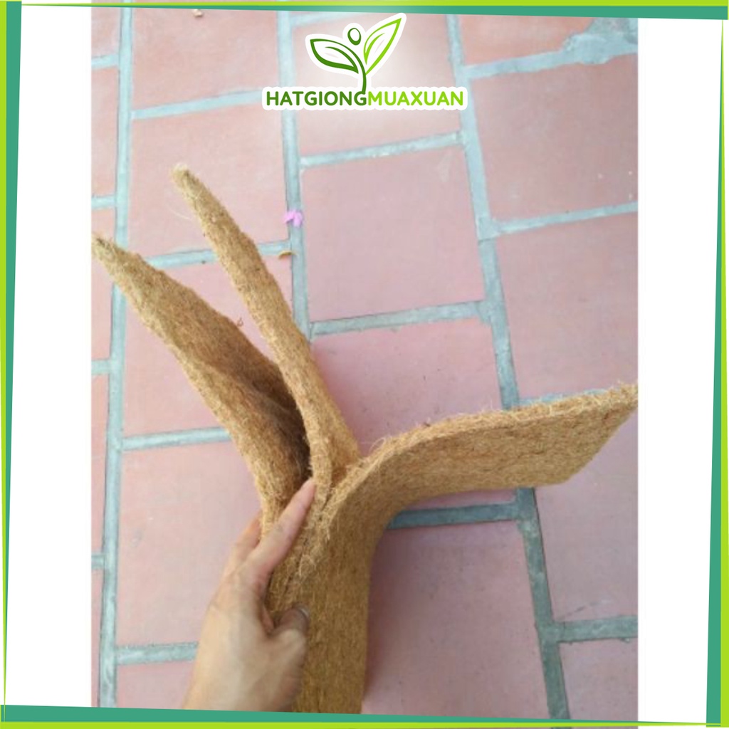 [SIEURE] Thảm xơ dừa trồng lan loại tốt 50x50 cm hàng đẹp, phân phối chuyên nghiệp.