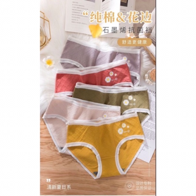 MỚI NHẤT*Quần lót cotton thông hơi cúc họa mi kháng khuẩn