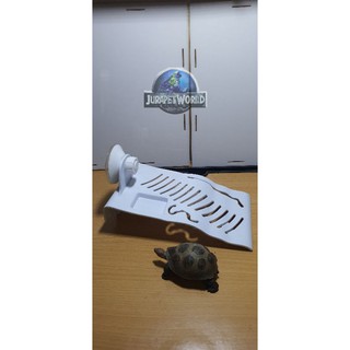 Máng Leo Dán Hồ cho Rùa (Nhỏ - 20x12cm)