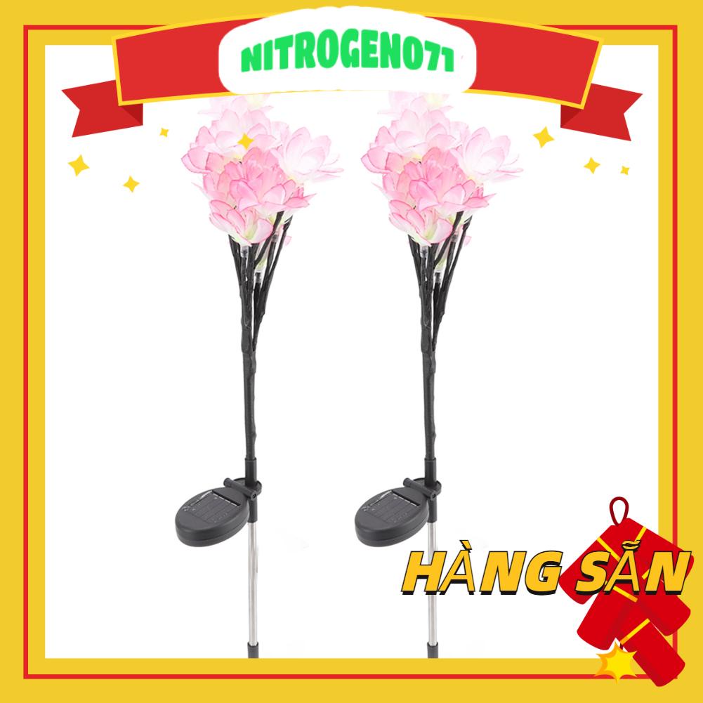 Nitrogen071 Đèn năng lượng mặt trời không thấm nước LED ngoài Sân vườn Ánh sáng trang trí cho sân