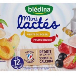 Sữa chua Bledina Pháp 6m +