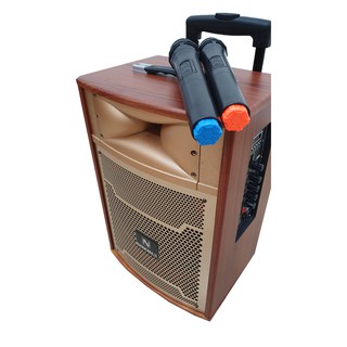 Loa kéo di động Nanomax S-8B (2 Micro)