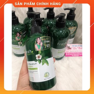 Dầu Gội Tràm Trà Gàu Fresh Organic Tea Tree Oil 500g+Xả 180g chính hãng