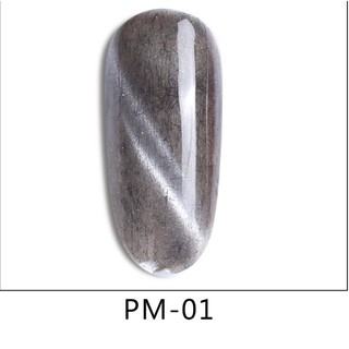 Sơn gel mắt mèo AS  mã PM chai 15ml