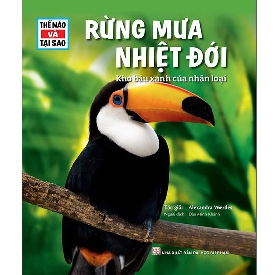 Sách Khám Phá Thế Nào Và Tại Sao Rừng Mưa Nhiệt Đới