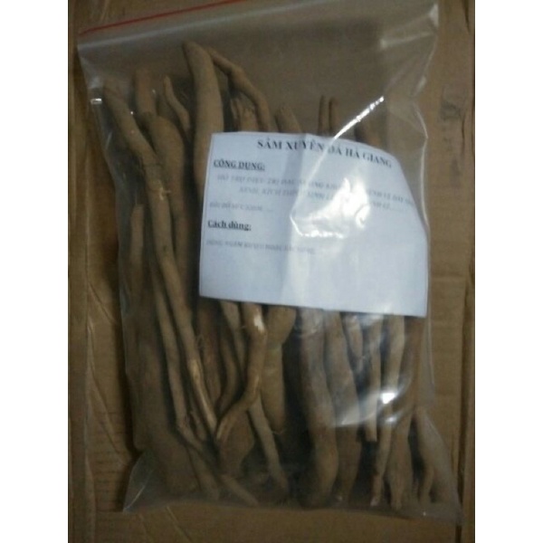 Sâm Xuyên Đá 1Kg