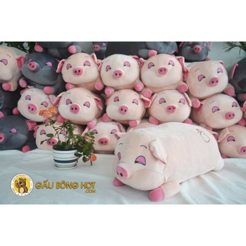 (Hàng Đẹp) Gấu Bông Heo Buồn Ngủ size 30 Cm