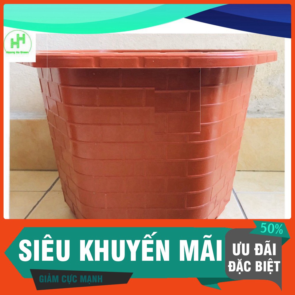 (Siêu Khuyến Mãi) 1 Chậu Nhựa Trồng Cây Cảnh, Hoa FA-450 Bình Thuận Plastics